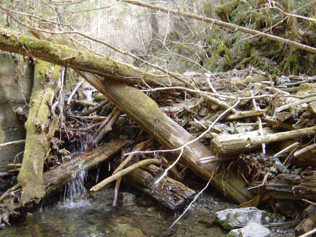 ���ː�X�ѓS��,�ѓS,�p����,�؋�,���R�򋴗�,�ؑ�����,�c�[