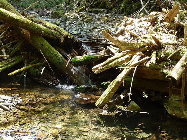 ���ː�X�ѓS��,�ѓS,�p����,�؋�,���R�򋴗�,�ؑ�����,�c�[