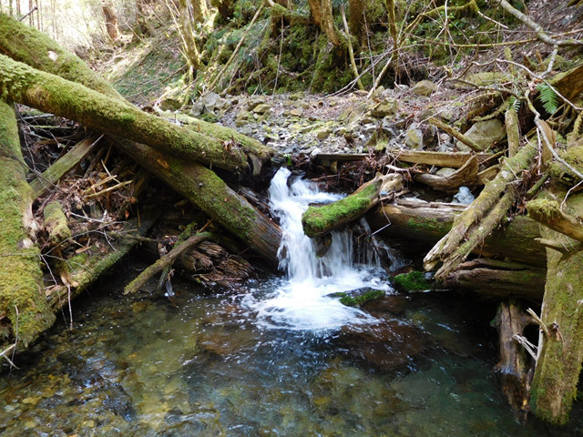 ���ː�X�ѓS��,�ѓS,�p����,�؋�,���R�򋴗�,�ؑ�����,�c�[