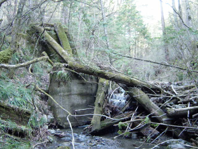 ���ː�X�ѓS��,�ѓS,�p����,�؋�,���R�򋴗�,�P��,�ؑ]