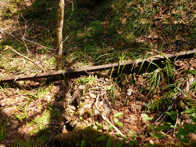 ���ː�X�ѓS��,�ѓS,�p����,�O����,���[��,���H,�ؑ]