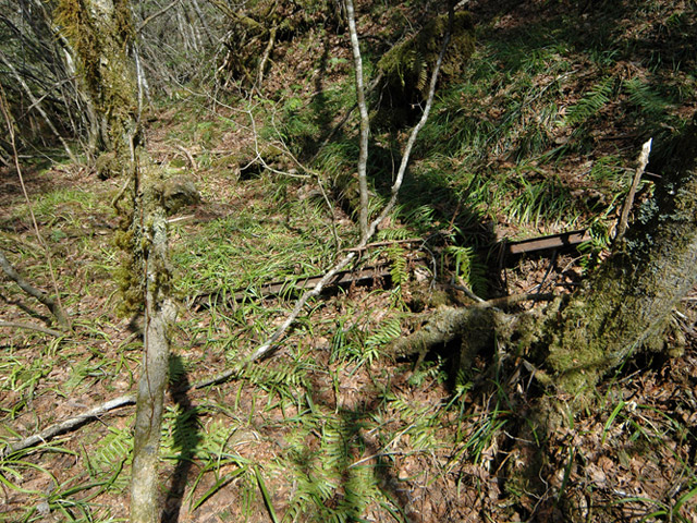 ���ː�X�ѓS��,�ѓS,�p����,�O����,�ѓ�,����c�я�,�ؑ]