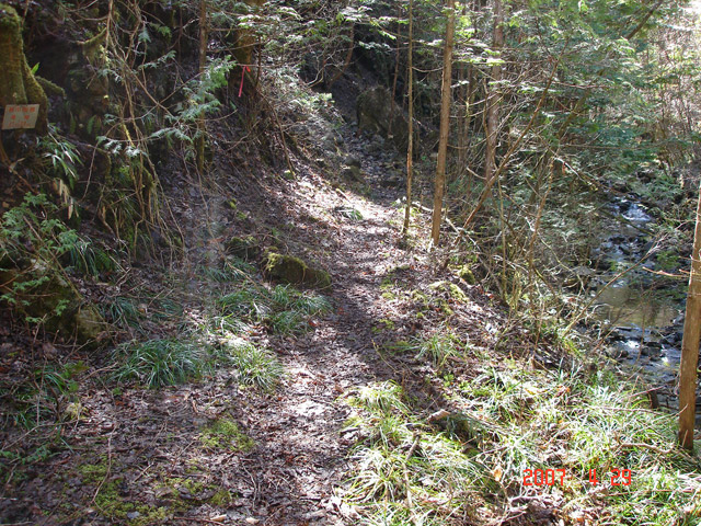 ���ː�X�ѓS��,�ѓS,�p����,�O����,�ѓ�,����c�я�,�ؑ]