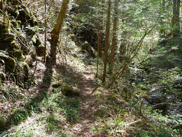 ���ː�X�ѓS��,�ѓS,�p����,�O����,�ѓ�,����c�я�,�ؑ]