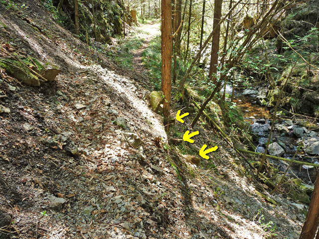 ���ː�X�ѓS��,�ѓS,�p����,�O����,�ѓ�,����c�я�,�ؑ]