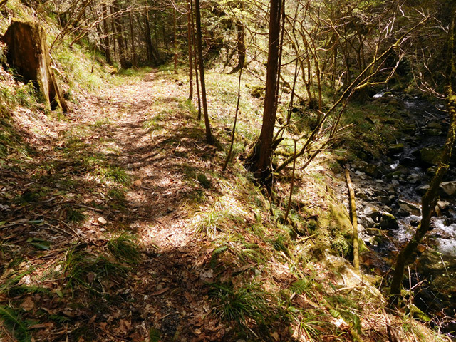 ���ː�X�ѓS��,�ѓS,�p����,�O����,�ѓ�,���R��,�ؑ]