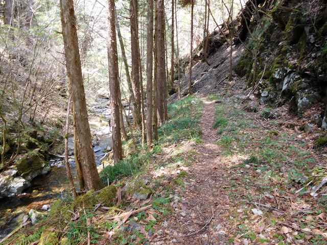 ���ː�X�ѓS��,�ѓS,�p����,�O����,�ѓ�,���R��,�ؑ]