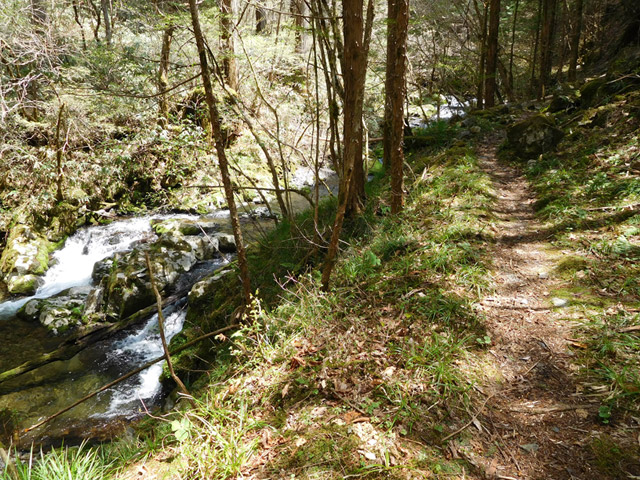 ���ː�X�ѓS��,�ѓS,�p����,�O����,�ѓ�,���ґ�,�ؑ]