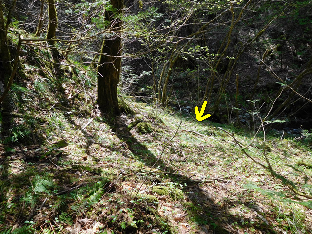 ���ː�X�ѓS��,�ѓS,�p����,�O����,�ѓ�,�ؑ],���R��