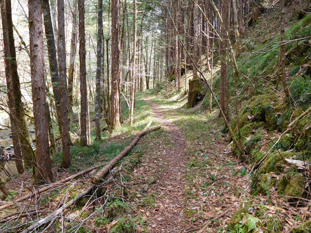 ���ː�X�ѓS��,�ѓS,�p����,�O����,�ѓ�,�ؑ],����c�я�