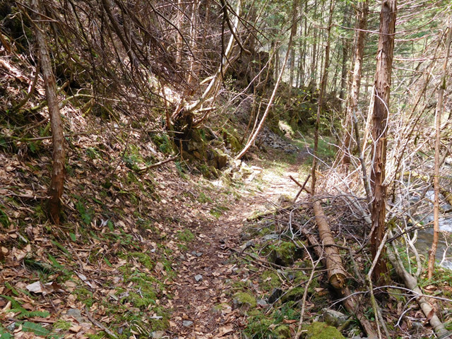 ���ː�X�ѓS��,�ѓS,�p����,�O����,�ѓ�,�ؑ],����c�я�