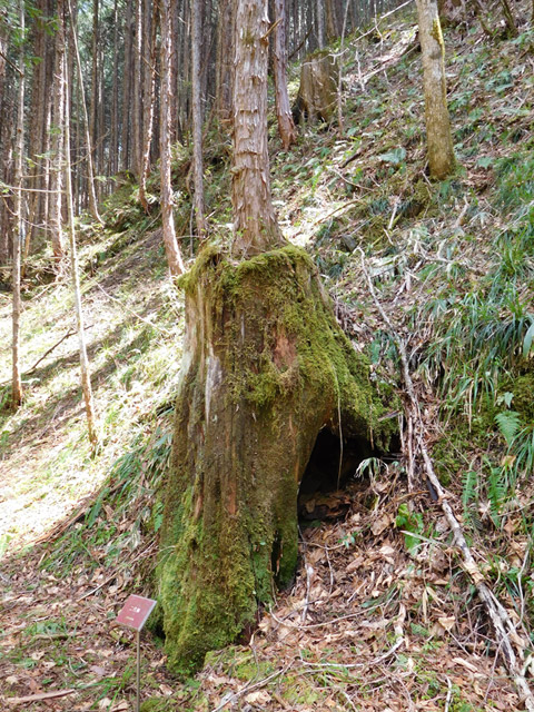 ���ː�X�ѓS��,�ѓS,�p����,�O����,����,�Ђ��΂�,������,�ؑ]�X�ъǗ���