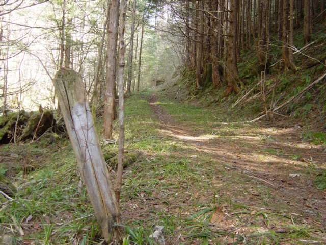 ���ː�X�ѓS��,�ѓS,�p����,�O����,���z�W,�ѓ�