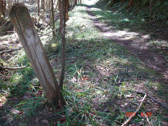 ���ː�X�ѓS��,�ѓS,�p����,�O����,���z�W,�r��,����c�я�