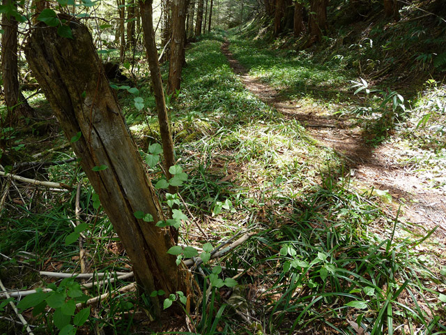 ���ː�X�ѓS��,�ѓS,�p����,�O����,���z�W,�ؑ]�X�ъǗ���