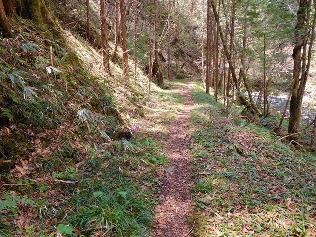 ���ː�X�ѓS��,�ѓS,�p����,�O����,���z,�ѓ�,�����X�ъǗ���