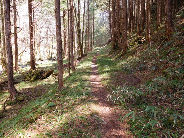 ���ː�X�ѓS��,�ѓS,�p����,�O����,�ѓ�,�ؑ]�X