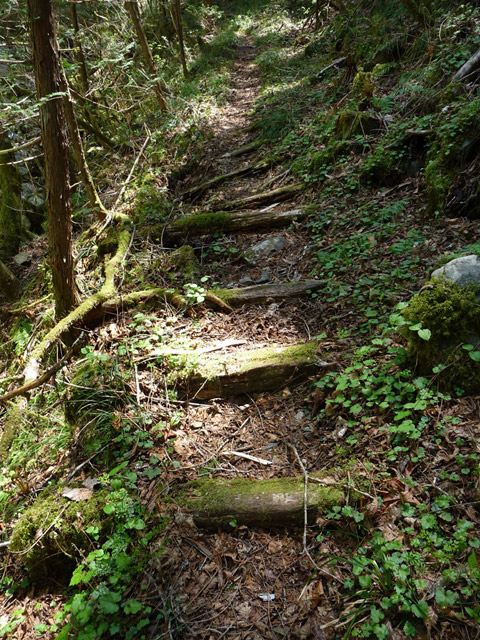 ���ː�X�ѓS��,�ѓS,�p����,�O����,�ѓ�,����