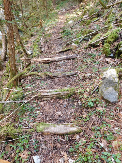 ���ː�X�ѓS��,�ѓS,�p����,�O����,�ѓ�,����