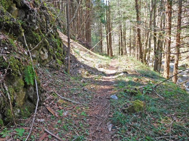 ���ː�X�ѓS��,�ѓS,�p����,�O����,�ѓ�,�ؑ]�X