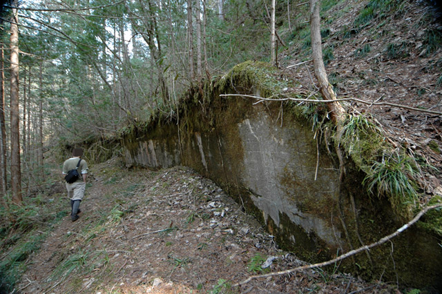 ���ː�X�ѓS��,�ѓS,�p����,�O����,�i��,�ؑ]�X