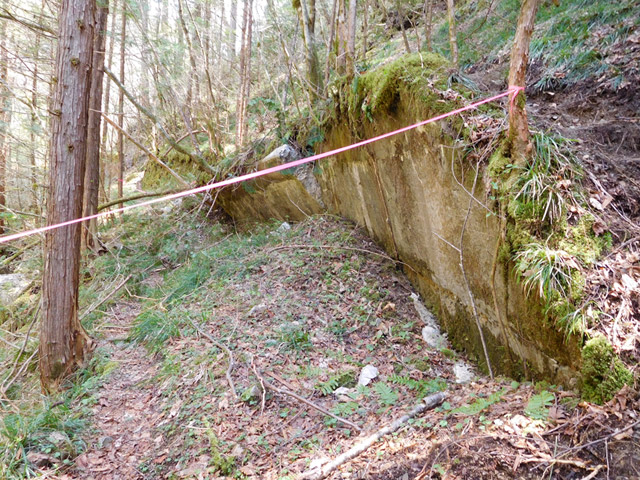 ���ː�X�ѓS��,�ѓS,�p����,�O����,�i��,�ؑ]�X