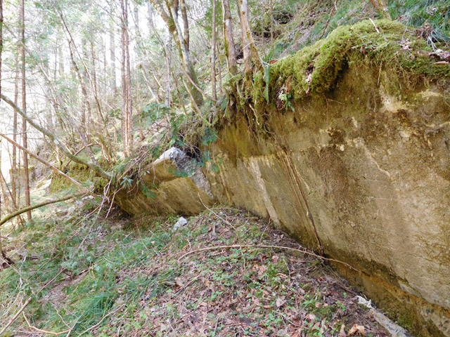 ���ː�X�ѓS��,�ѓS,�p����,�O����,�i��,�ؑ]�X