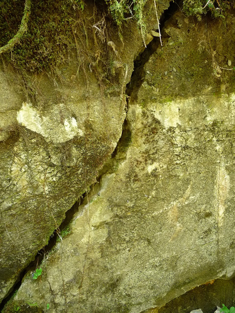 ���ː�X�ѓS��,�ѓS,�p����,�O����,�i��,�T��