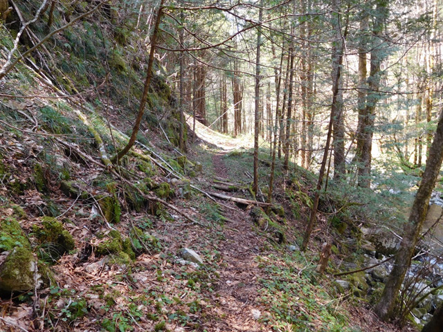 ���ː�X�ѓS��,�ѓS,�p����,�O����,�ѓ�,�ؑ]�X�ъǗ���