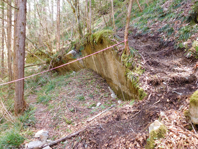 ���ː�X�ѓS��,�ѓS,�p����,�O����,����,�ؑ]�X�ъǗ���