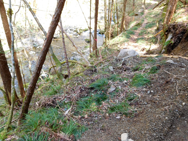 ���ː�X�ѓS��,�ѓS,�p����,�O����,�V����,����c�я�