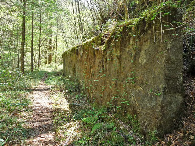 ���ː�X�ѓS��,�ѓS,�p����,�O����,�V����,�i��