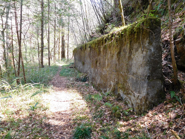 ���ː�X�ѓS��,�ѓS,�p����,�O����,�V����,�i��