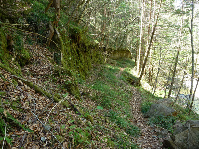 ���ː�X�ѓS��,�ѓS,�p����,�O����,�V����,�i��