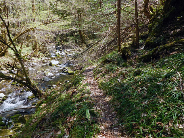 ���ː�X�ѓS��,�ѓS,�p����,�O����,�V����,����