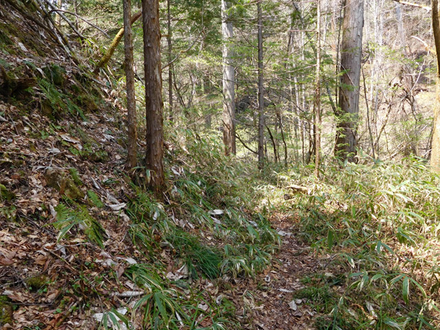 ���ː�X�ѓS��,�ѓS,�p����,�O����,�V����,����,�ѓ�