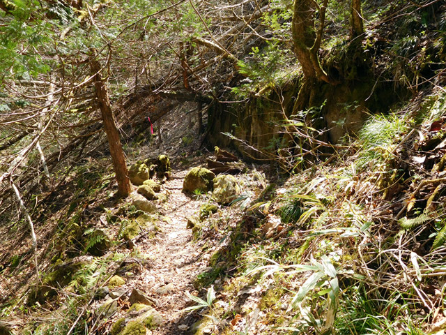 ���ː�X�ѓS��,�ѓS,�p����,�O����,�V����,����,�ѓ�