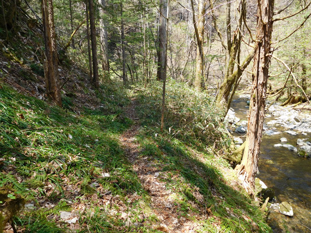 ���ː�X�ѓS��,�ѓS,�p����,�O����,�V����,����,�ѓ�