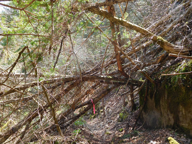 ���ː�X�ѓS��,�ѓS,�p����,�O����,�V����,����,�|��