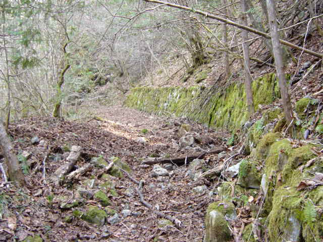 ���ː�X�ѓS��,�ѓS,�p����,�O����,����c�я�,�J�[�u