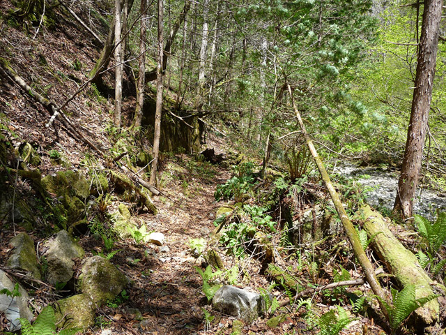 ���ː�X�ѓS��,�ѓS,�p����,�O����,����,�V����