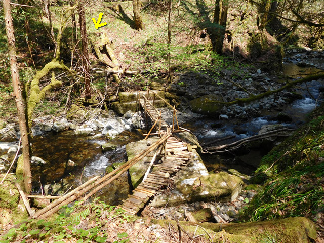 ���ː�X�ѓS��,�ѓS,�p����,�O����,����,�؋�,�s�A