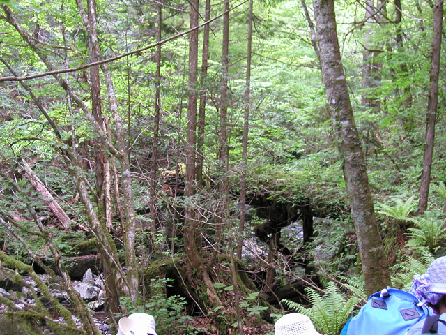 ���ː�X�ѓS��,�ѓS,�p����,�O����,����,�؋�,���ː�E�H�[�L���O