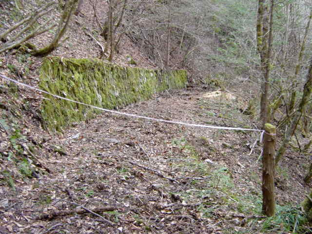 ���ː�X�ѓS��,�ѓS,�p����,�O����,����,�؋�,����