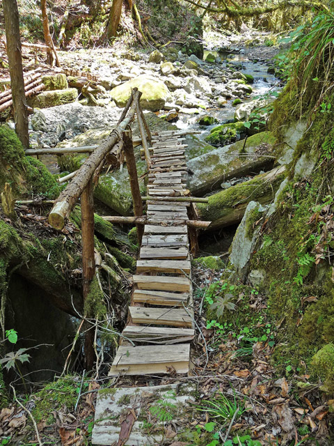 ���ː�X�ѓS��,�ѓS,�p����,�O����,����,�ۑ���,���ґ�