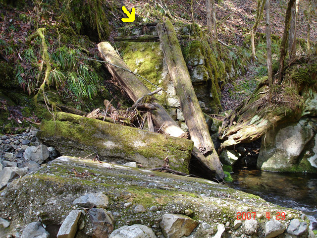 ���ː�X�ѓS��,�ѓS,�p����,�O����,����,����,���ґ�,�؋�