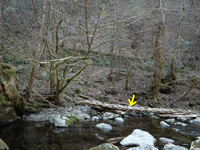 ���ː�X�ѓS��,�ѓS,�p����,�O����,�V����,���ґ�,�ۑ���