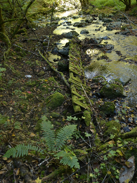 ���ː�X�ѓS��,�ѓS,�p����,�O����,�V����,���ґ�,�ۑ���