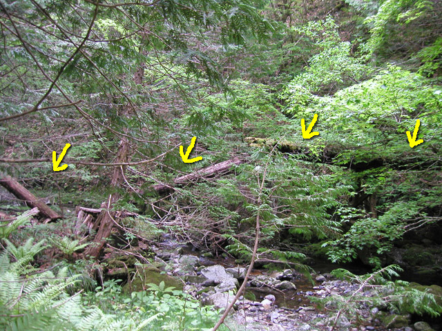 ���ː�X�ѓS��,�ѓS,�p����,�O����,����,�؋�,�ؑ]�X