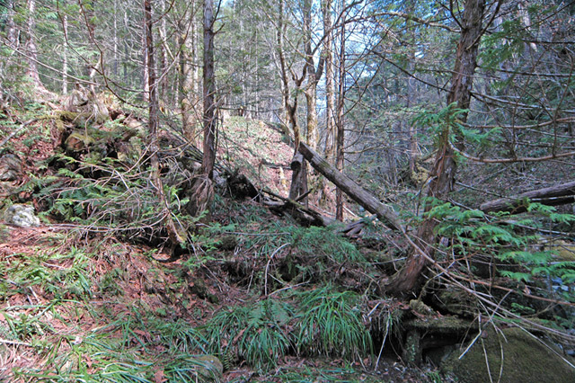 ���ː�X�ѓS��,�ѓS,�p����,�O����,����,�ؑ���,����c�я�